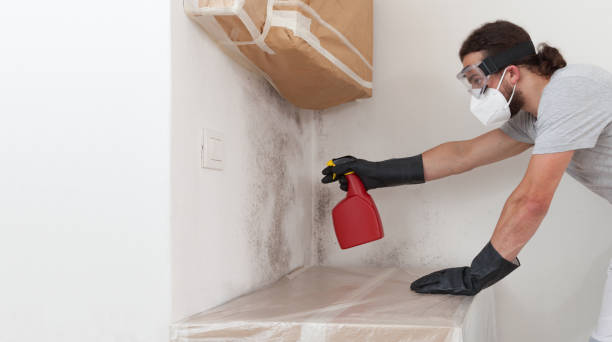 Professional Basement Mold Remediation technician working in Stantonsburg, NC