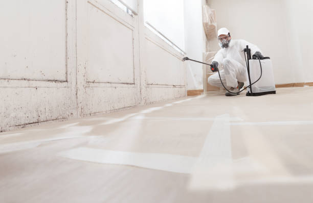 24/7 Emergency Basement Mold Remediation experts in Stantonsburg, NC